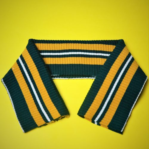 RIB-1-scaled